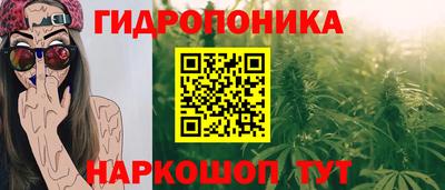 сатива Камышлов