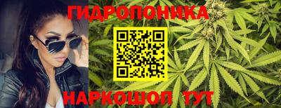 винт Канаш
