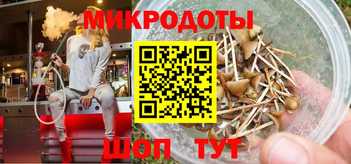 Галлюциногенные грибы Cubensis Каменск-Уральский
