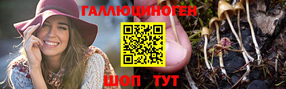 Галлюциногенные грибы Psilocybine cubensis  Вход с VPN  Каменск-Уральский 